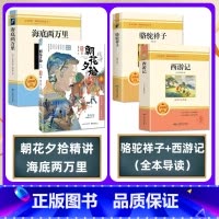 ⭐[七年级]课外阅读套装 4册 [正版]朝花夕拾精讲 一本书读懂鲁迅写作背景表达思想思维导图批注式解析七年级上册课外阅读
