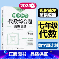 代数综合题[数学] 七年级/初中一年级 [正版]周计划初中数学计算题几何综合题代数综合题训练7七年级上下册思维数学练习题