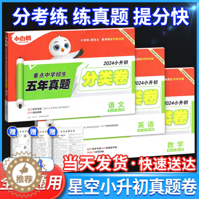 [醉染正版]2024星空小升初真题试卷分类总复习语文数学英语试卷测试卷全套小白鸥五六年级上册下册总复习专项训练测试卷上重