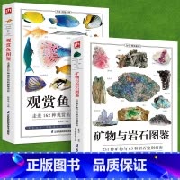 [正版]铜版纸全2册观赏鱼图鉴+矿物与岩石图鉴鱼缸观赏鱼养殖热带海水鱼淡水鱼冷习性辨认各种矿物与岩石自然科学收藏鉴赏岩