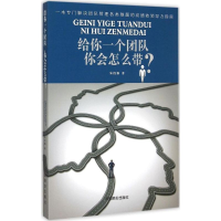 音像给你一个团队你会怎么带?朱衍强 著