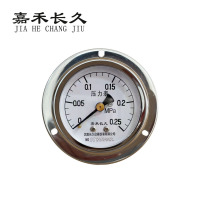 嘉禾长久 轴向带边压力表检测型 Y60ZT 块