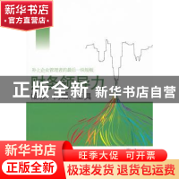 正版 财务领导力:概念、问题、工具 张宇著 经济科学出版社