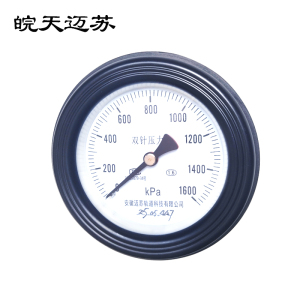 皖天迈苏双针压力表YGS-100Z 0-1600Kpa