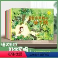 语文里的科学密码 [正版]语文里的科学密码10册3-6岁儿童启蒙绘本科普启蒙书籍幼儿园小班中班大班小学生一年级阅读动物植